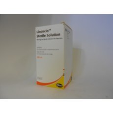 Lincocin Sterile  Solution for Injection 100ml