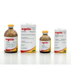 Naxcel 100 mg/ml Injection for Pigs 100ml