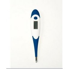 Digital Dual Scale Thermometer