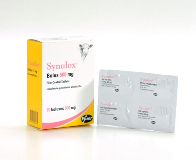 Zoetis Synulox Bolus 500mg