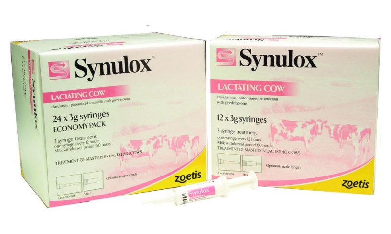 Zoetis Synulox LC 24 pack