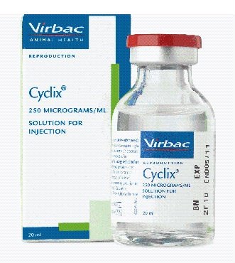 Virbac Cyclix 250mg/ml Injection