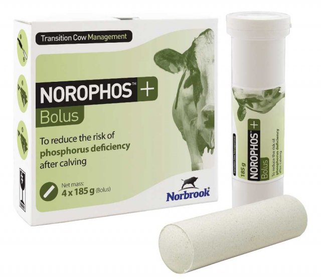 Norbrook Norophos + Bolus 4 pack