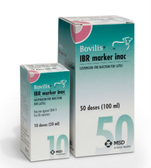 Bovilis IBR Inac