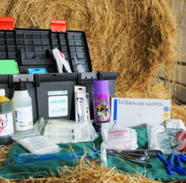 Small Holder Lambing Box