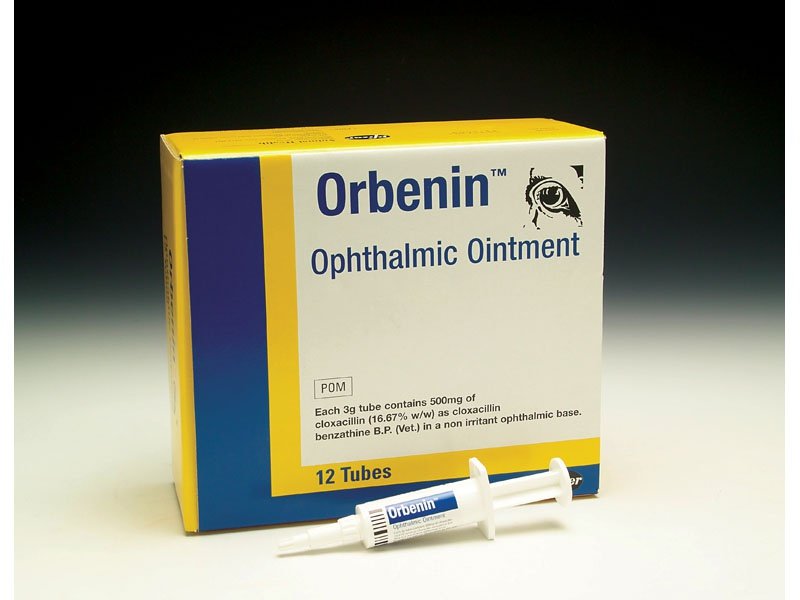 Zoetis Orbenin Ophthalmic Eye Ointment 12 pack Farmacy