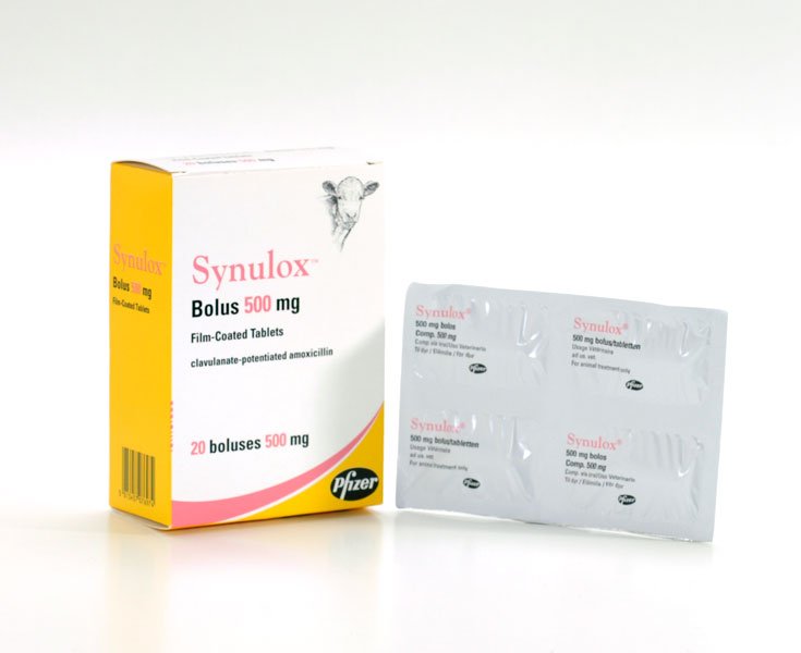 Zoetis Synulox Bolus 500mg - Farmacy