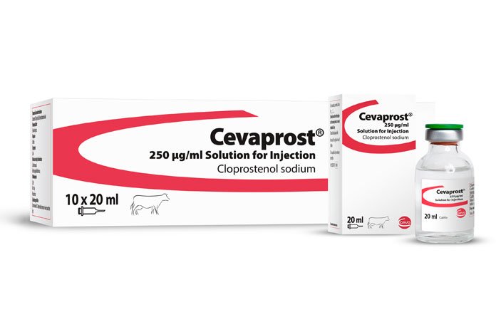 CEVA Cevaprost 250 ug/ml Injection 20ml x 10 pack - Farmacy