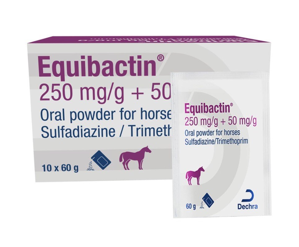 Dechra Equibactin 250 Mg g 50 Mg g Oral Powder 60g X 10 Pack Farmacy dechra-equibactin-250-mg-g-50-mg-g-oral-powder-60g-x-10-pack-farmacy