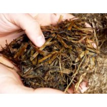 Mycotoxin Screen (6 Toxins)