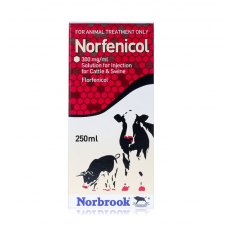 Norfenicol 300 mg/ml Injection