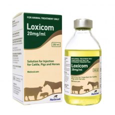 Loxicom 20mg/ml Injection
