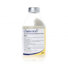 Clamoxyl RTU 150mg/ml Injection