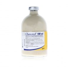 Clamoxyl RTU 150mg/ml Injection