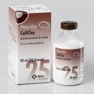 Porcilis Coli Clos 25 dose