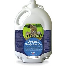 Dysect Sheep Pour On 5L