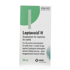 Leptavoid H