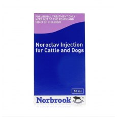 Noroclav Injection