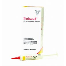 Pathocef 4 pack