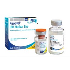 Rispoval IBR Marker LIVE