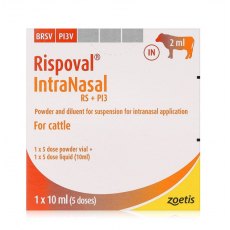 Rispoval Intranasal RS + PI3