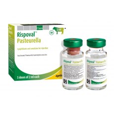 Rispoval Pasteurella