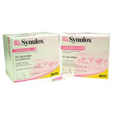Synulox LC 24 pack