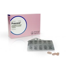 Prascend Tablets 1mg Equine