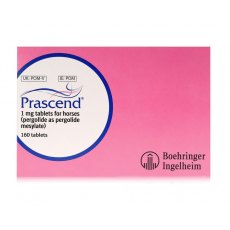 Prascend Tablets 1mg Equine