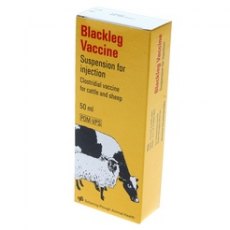 Blackleg Vaccine 50ml