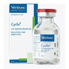 Cyclix 250mg/ml Injection