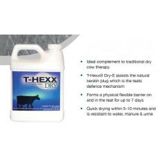 Progiene T-Hexx Dry-E 1L