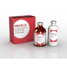 Bovela