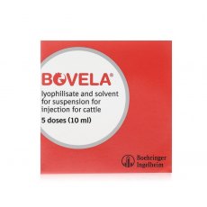 Bovela