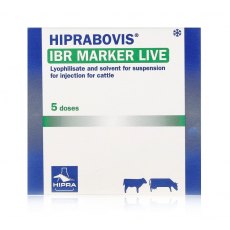 Hiprabovis IBR Marker Live