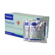 Enerlyte Plus 100g x 24 pack