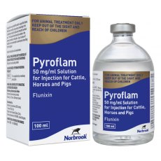 Pyroflam 50mg/ml Injection