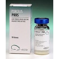 Porcilis PRRS & Diluent