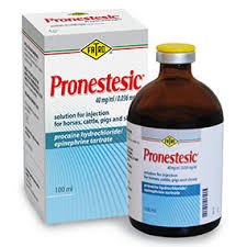Pronestesic 40mg/ml Injection 100ml