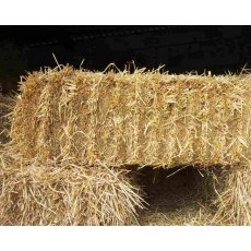 Hay & Straw - Mould & Yeast Analysis