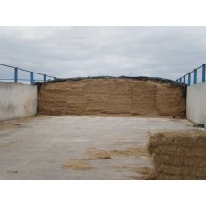 Silage Analysis