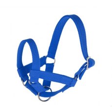 Llama Halter 60cm