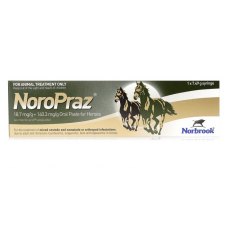 Noropraz 18.7 mg/g + 140.3 mg/g Oral Paste