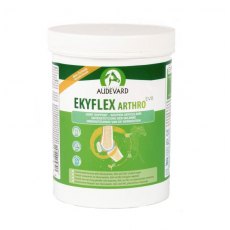 Audevard Ekyflex Arthro Evo