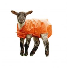 Lambing Jackets 100 pack