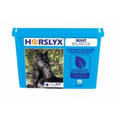 Horslyx Mint Balancer Lick 5kg