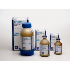 Eficur 50mg/ml Injection 100ml