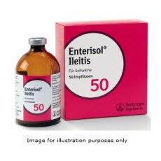 Enterisol Iletis 50 dose