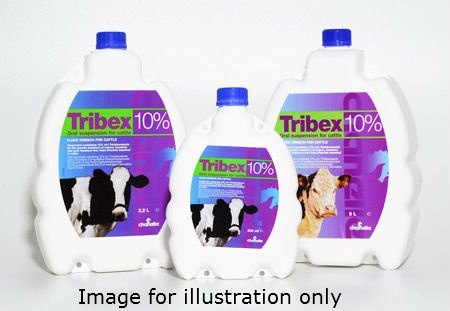 Chanelle Tribex 10% Oral Suspension for Cattle