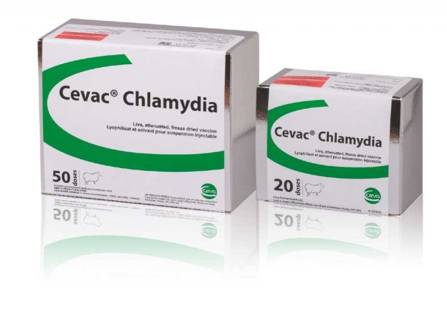CEVA CEVAC Chlamydia